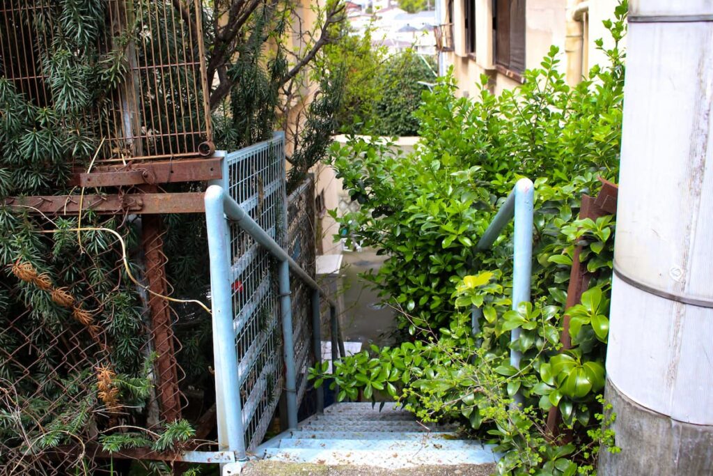 草木が生い茂る住宅脇の屋外階段